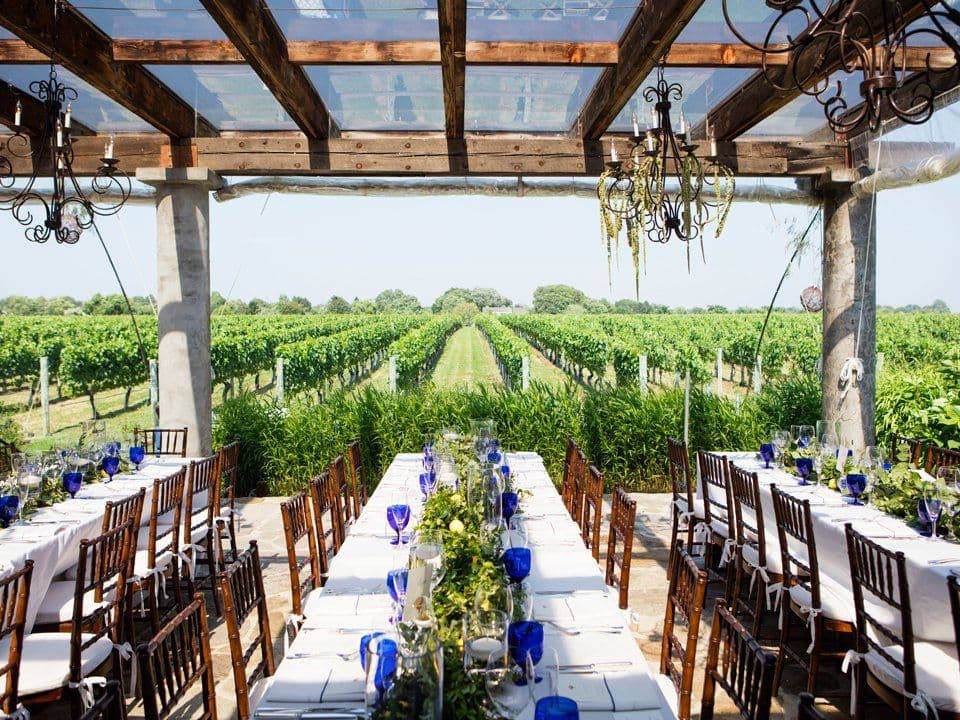 Wolffer Estate Vineyard