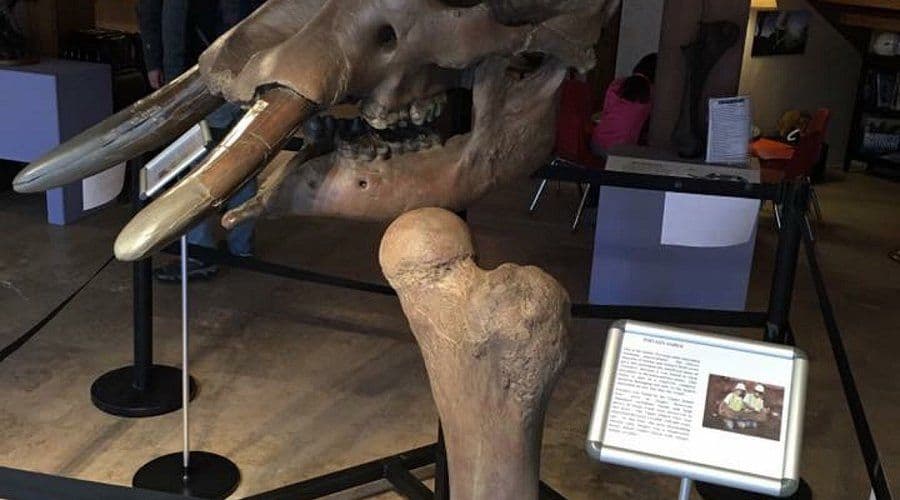 Ice Age Discovery Center