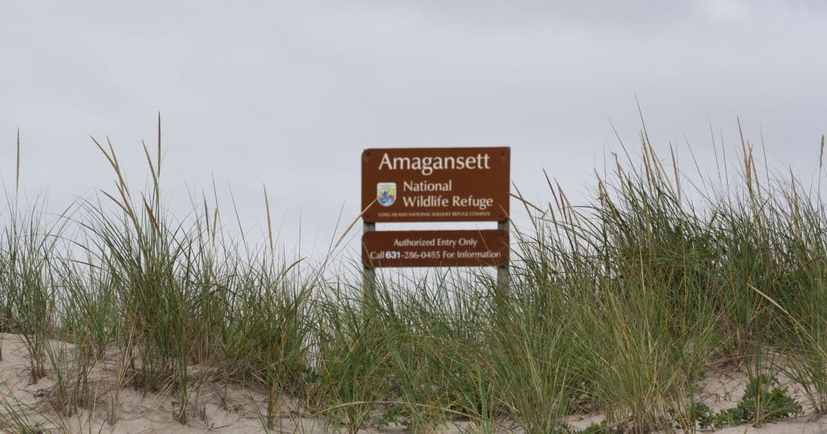 Amagansett National Wildlife Refuge