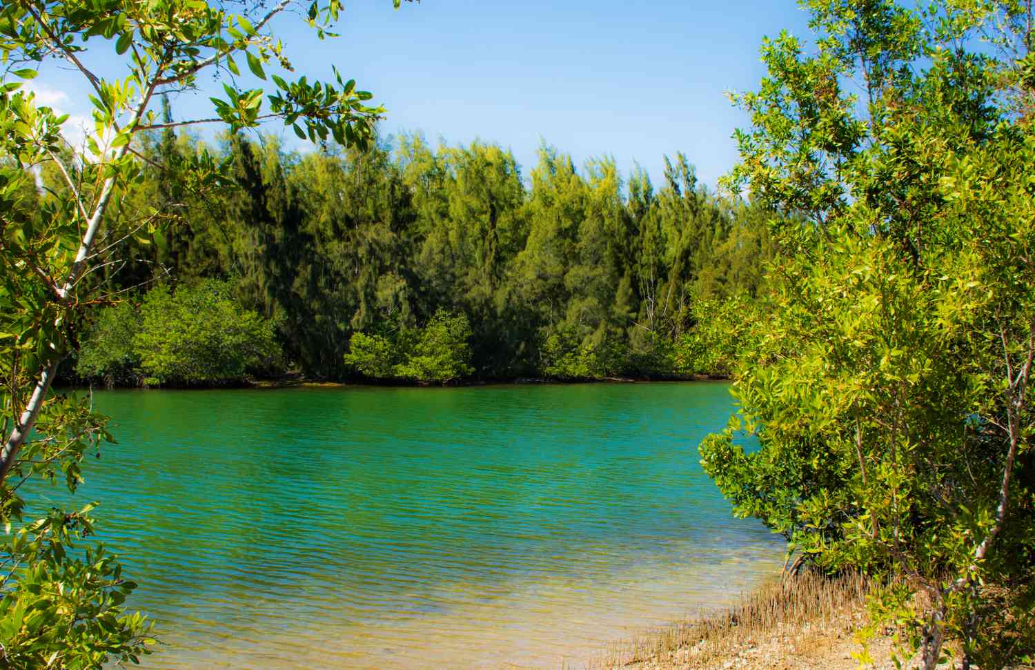 Oleta River State Park