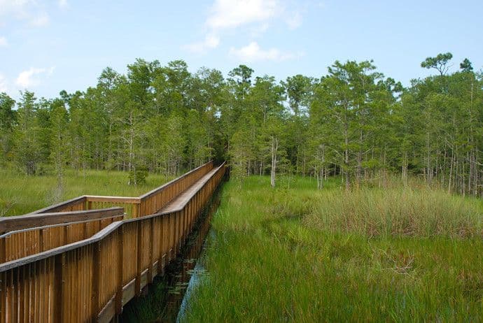 Grassy Waters Preserve