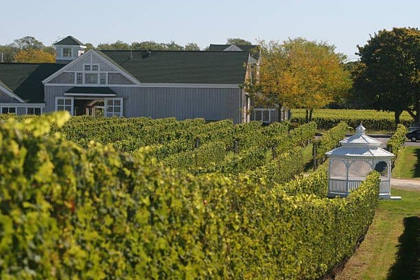 Long Island’s East End Vineyards