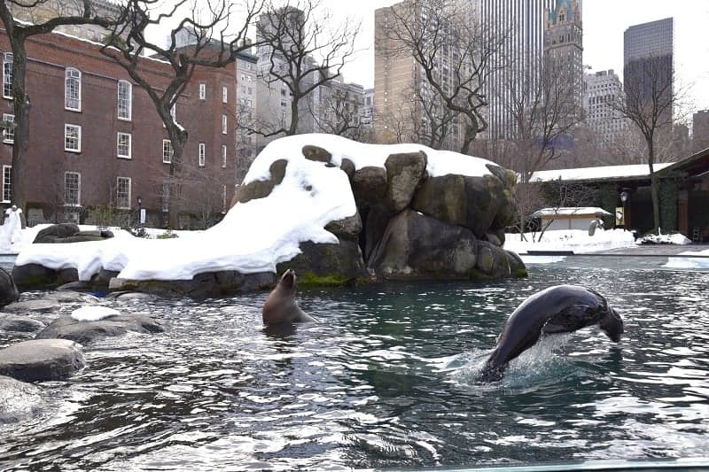 Central Park Zoo