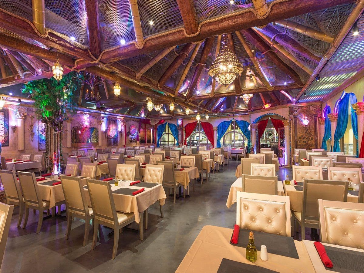 Rocket at Kitty's Diner