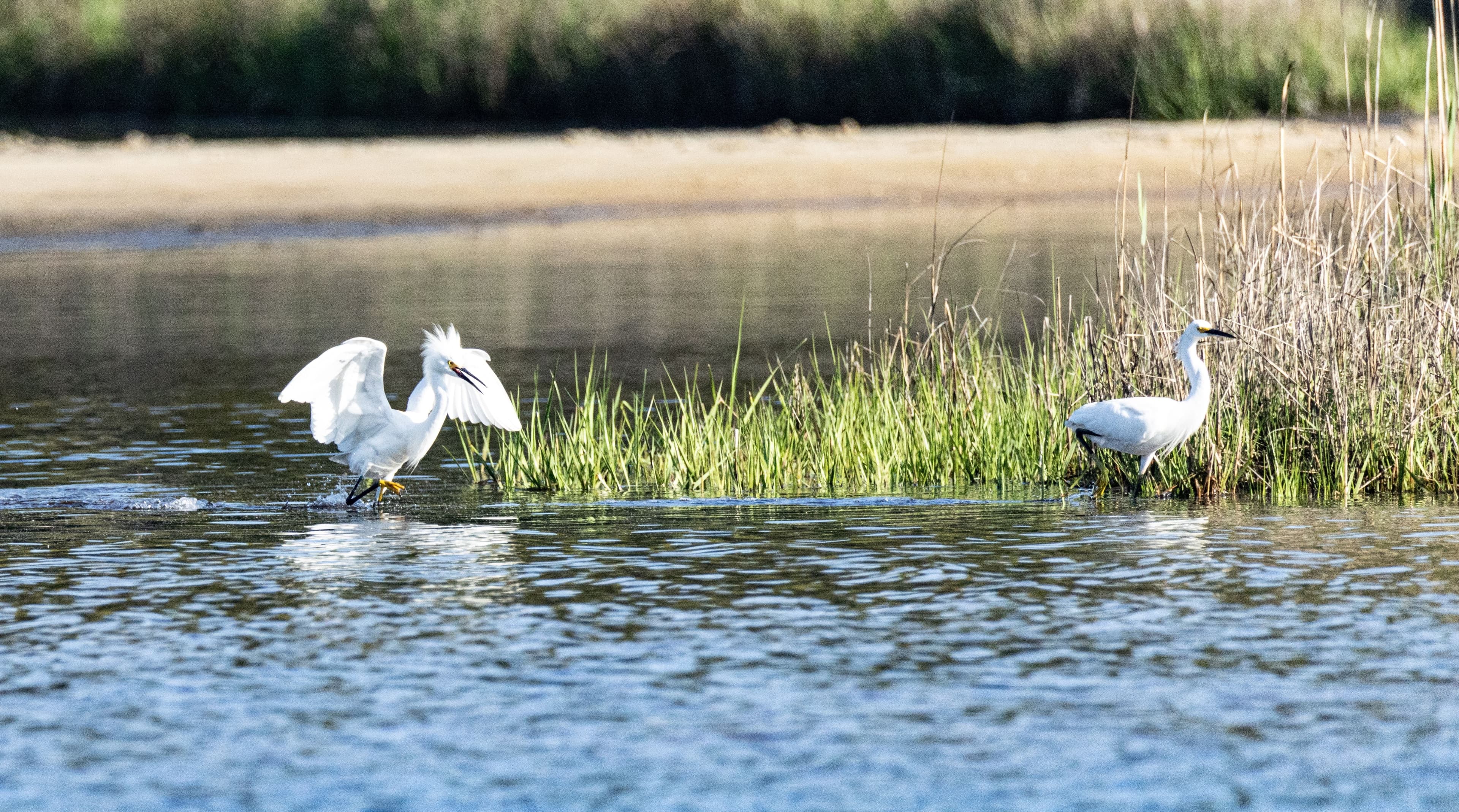 Napeague State Park