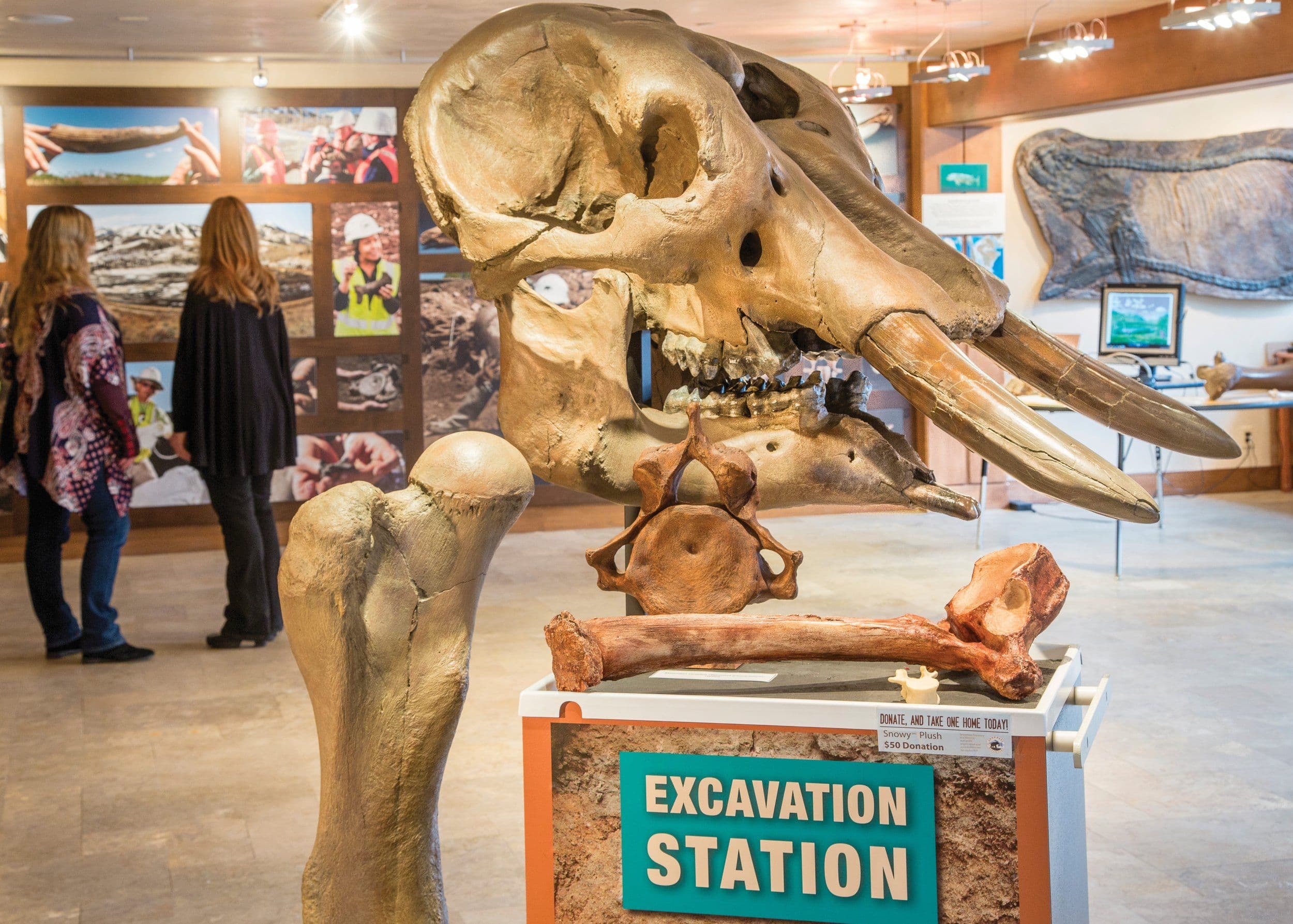 Ice Age Discovery Center