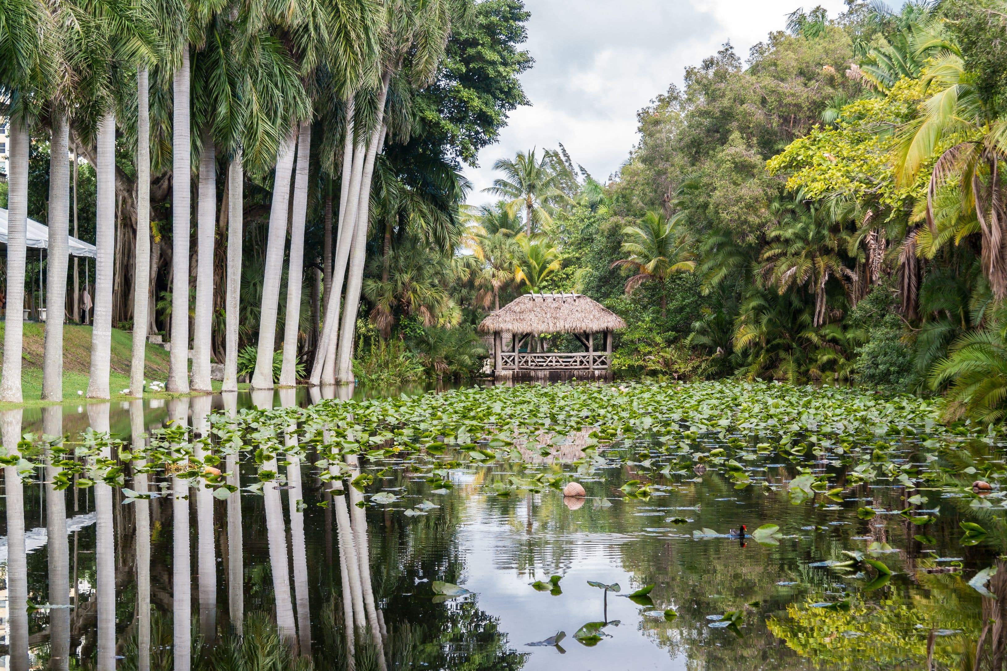 Bonnet House Museum & Gardens