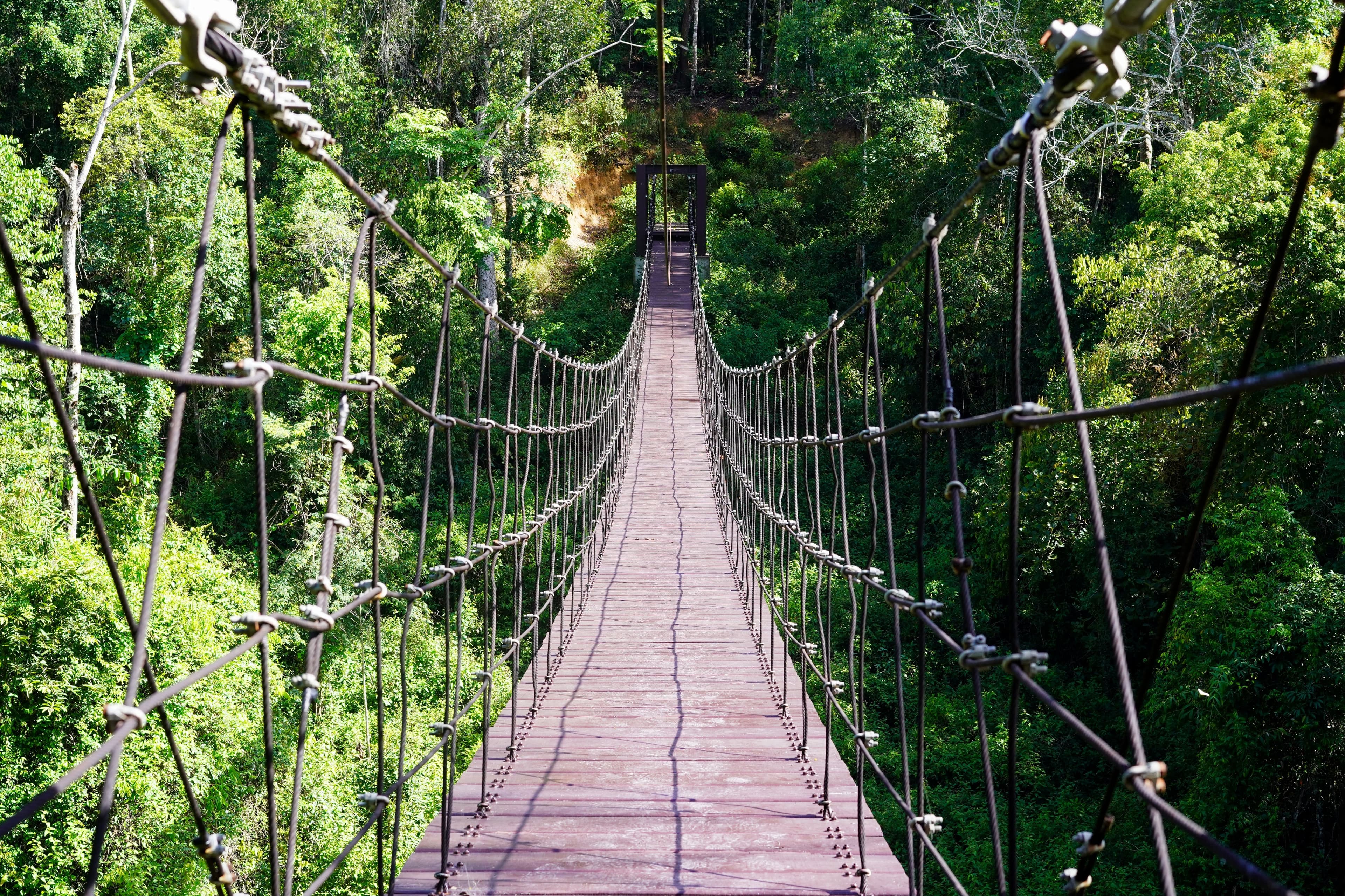 McCarthy's Wildlife Sanctuary