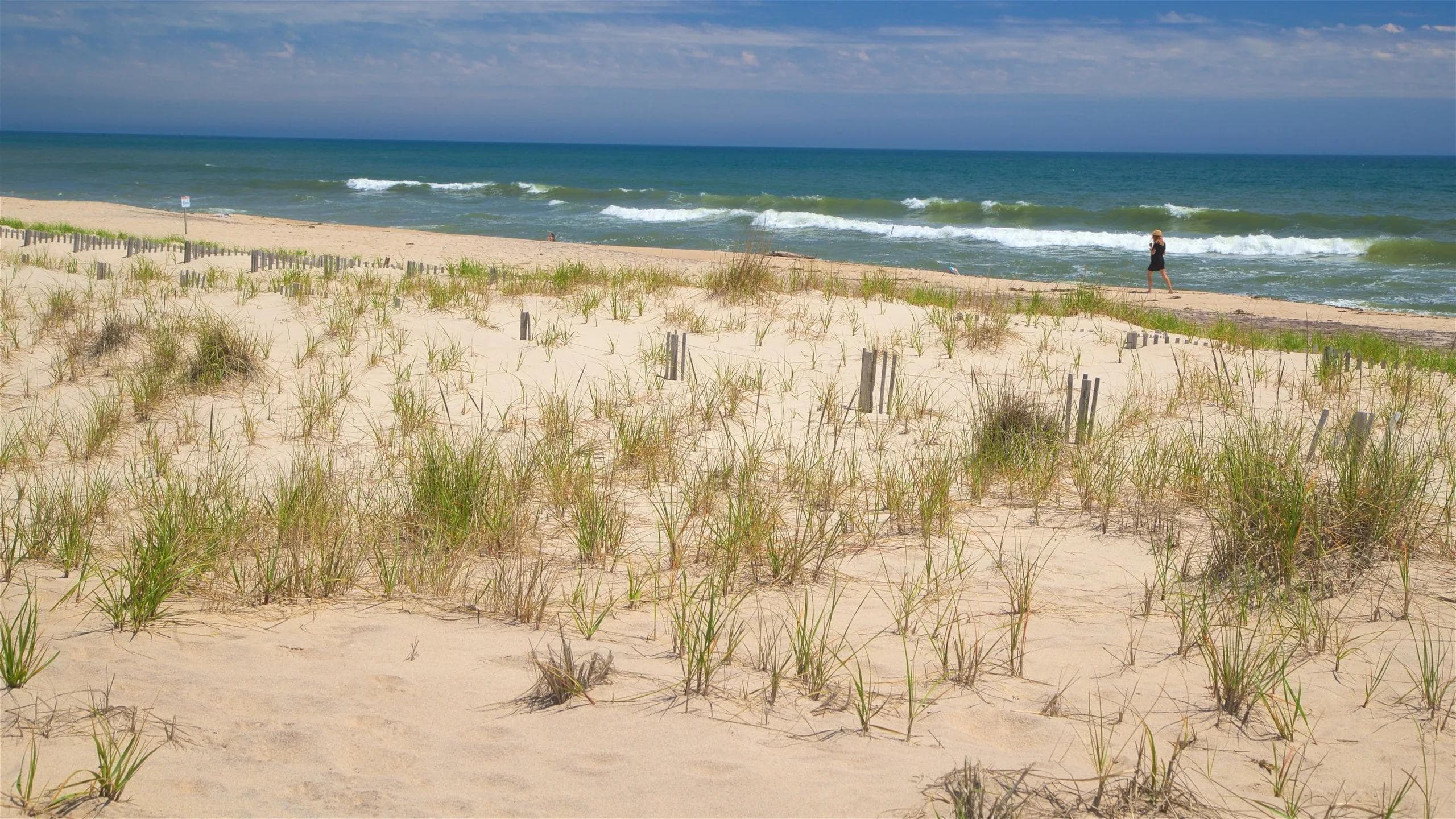 Coopers Beach for relaxation