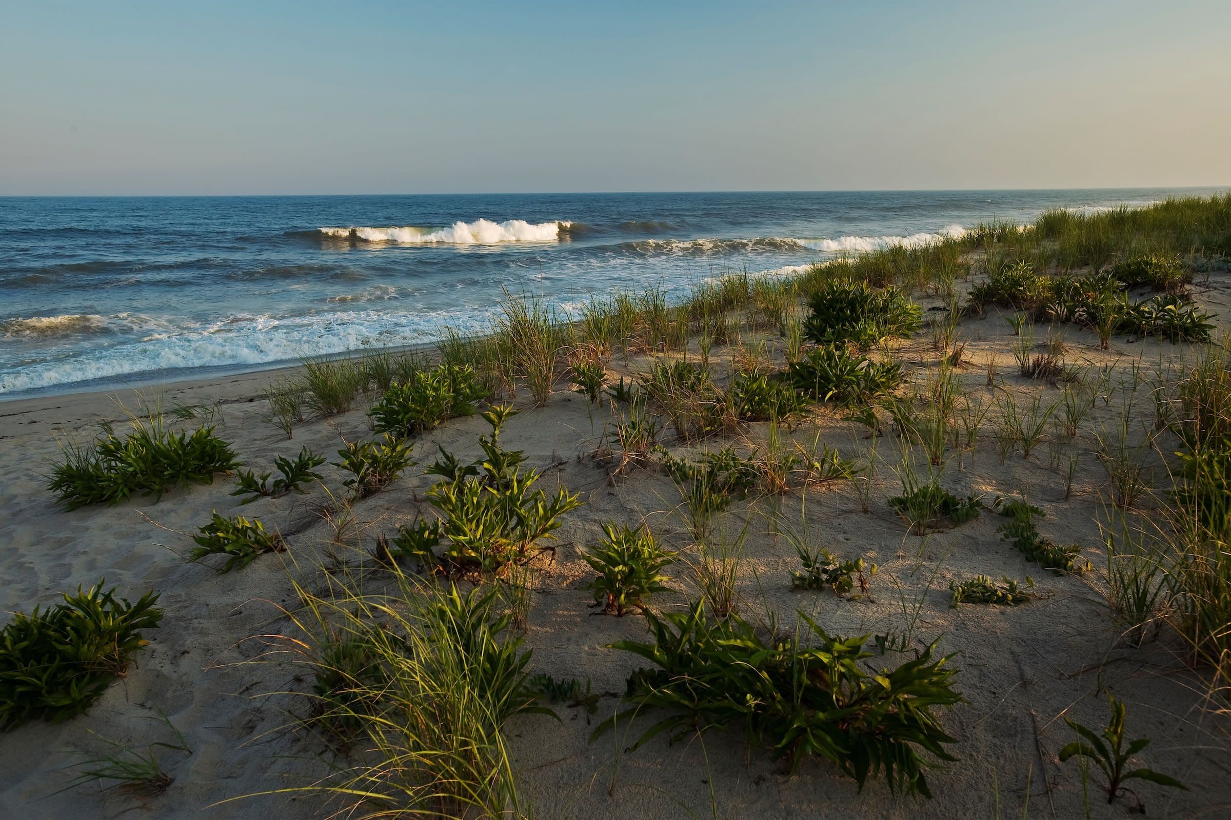 Hither Hills State Park