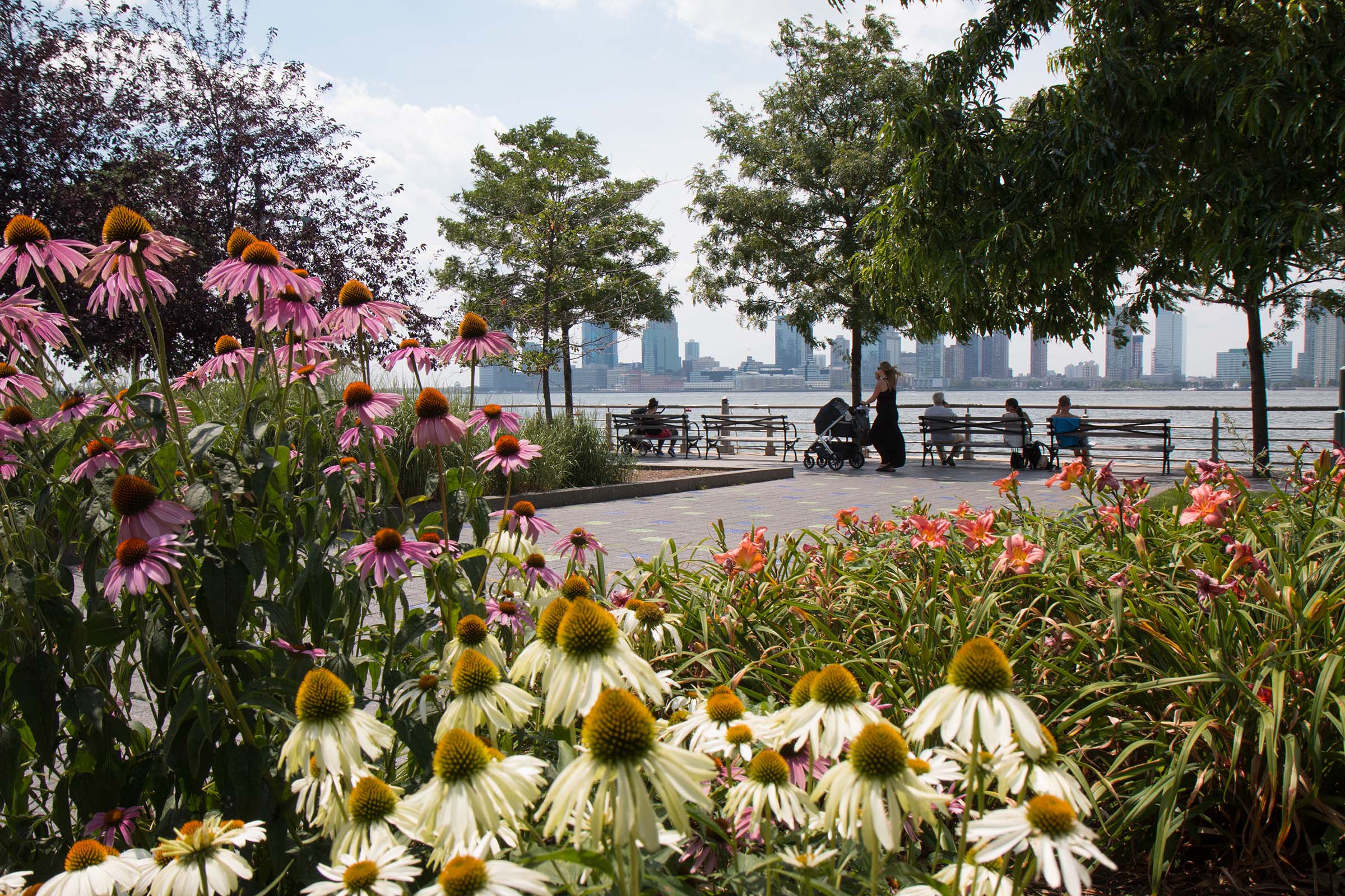 Hudson River Park