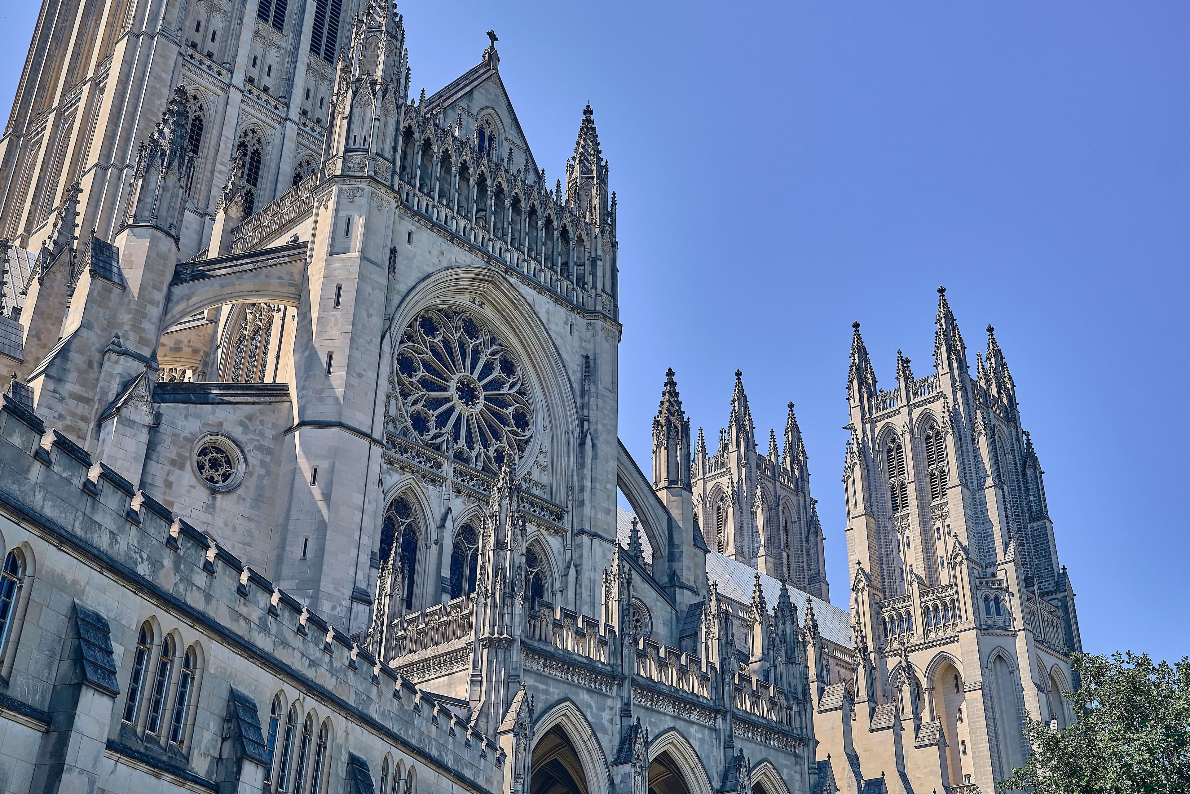 Design + Architecture District (D+A)