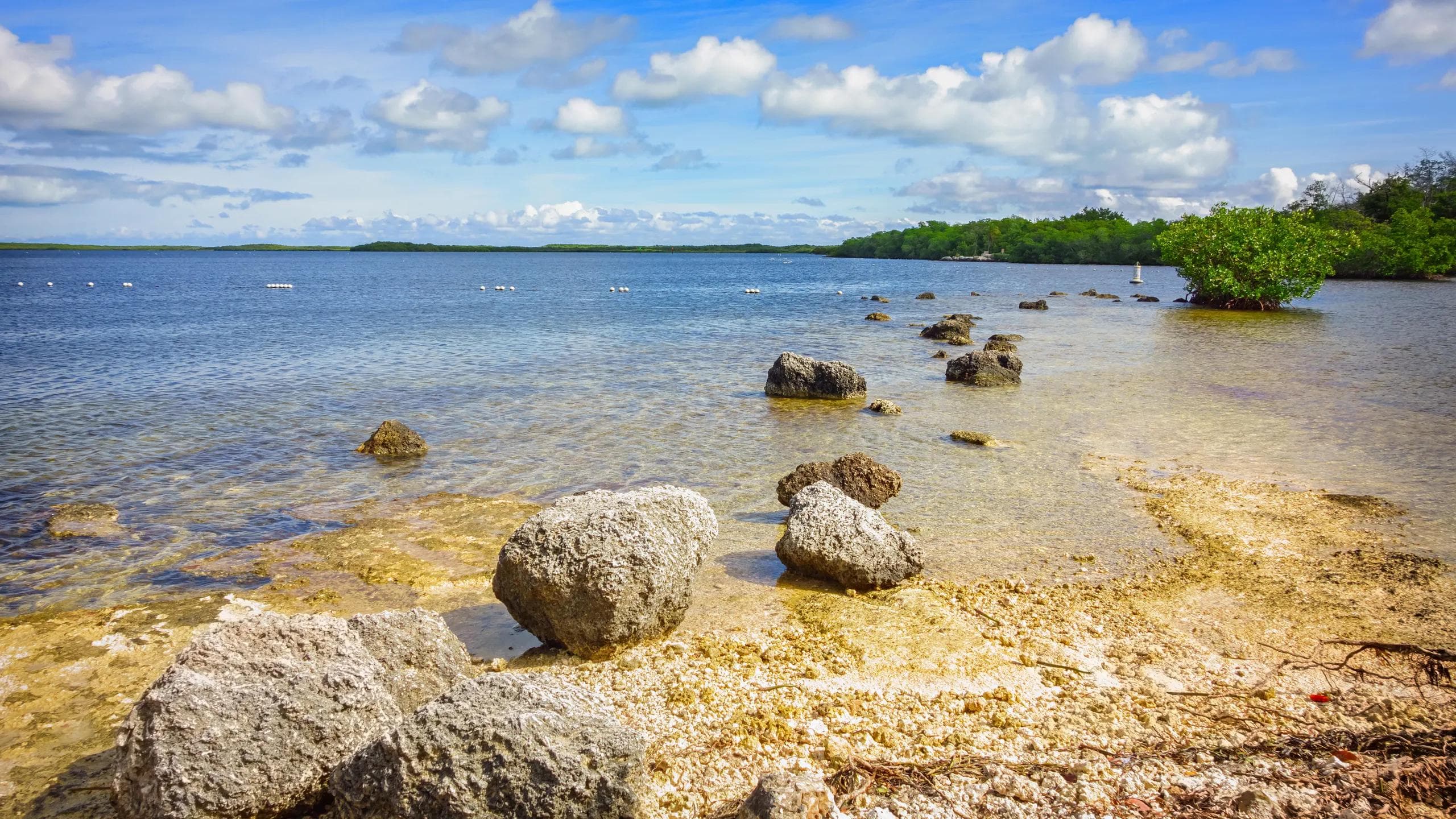 John Pennekamp Coral Reef State Park