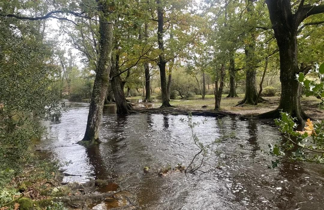 Southampton Village Nature Trails