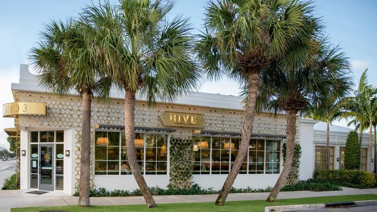 Hive Palm Beach