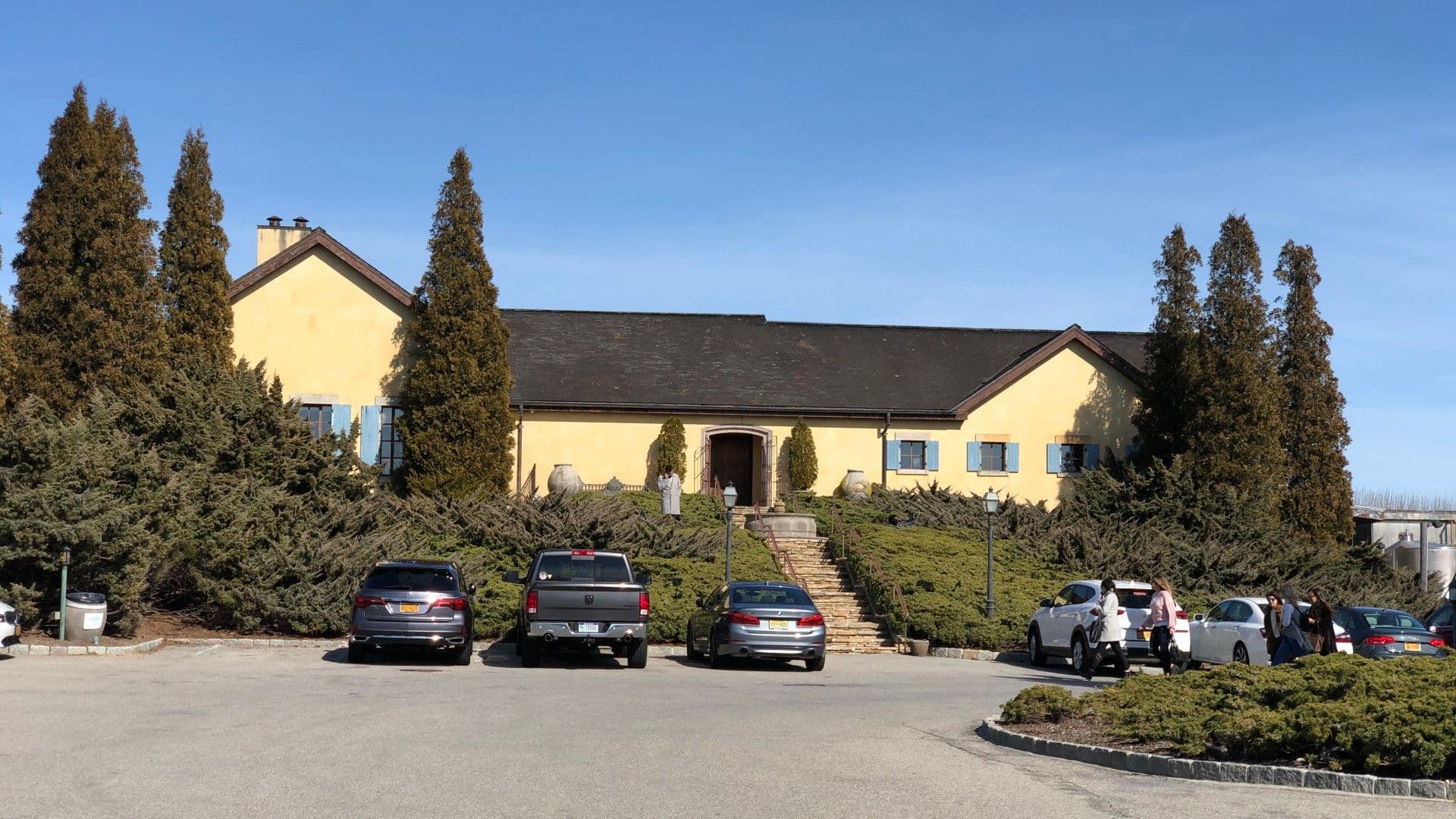 Wolffer Estate Vineyard