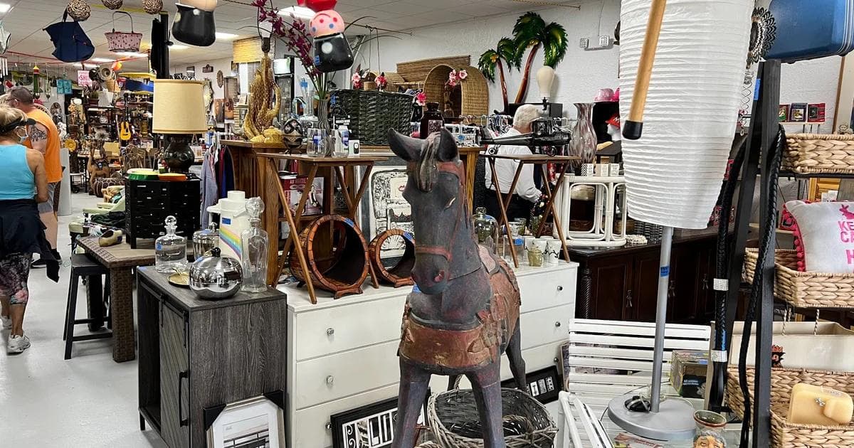 Oddballs Nifty Thrift