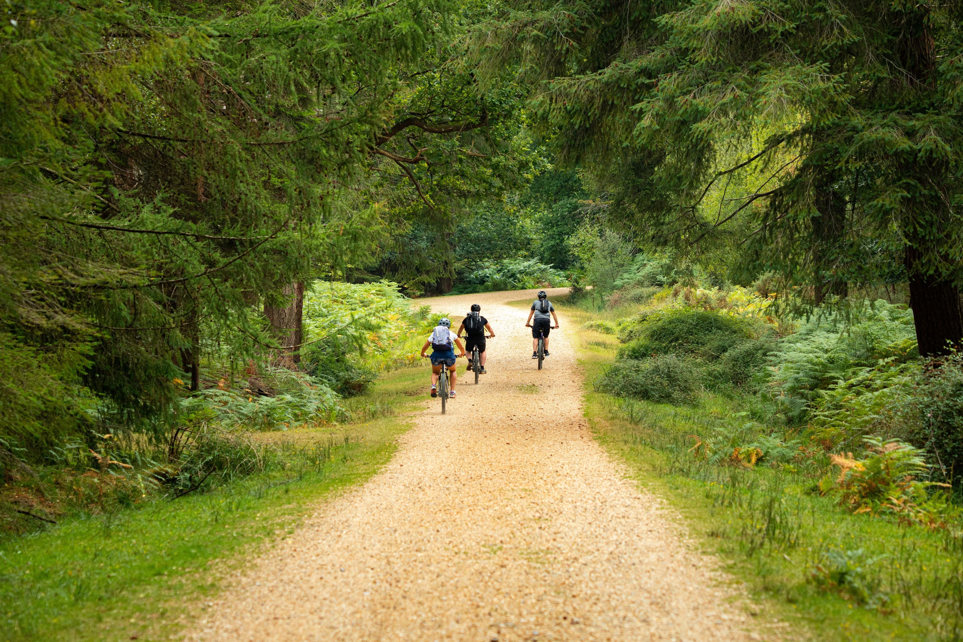 Top Must-Do Activity in Southampton