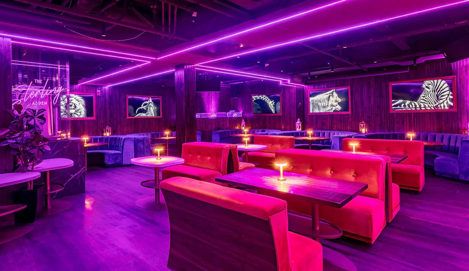 Local music venue or bar